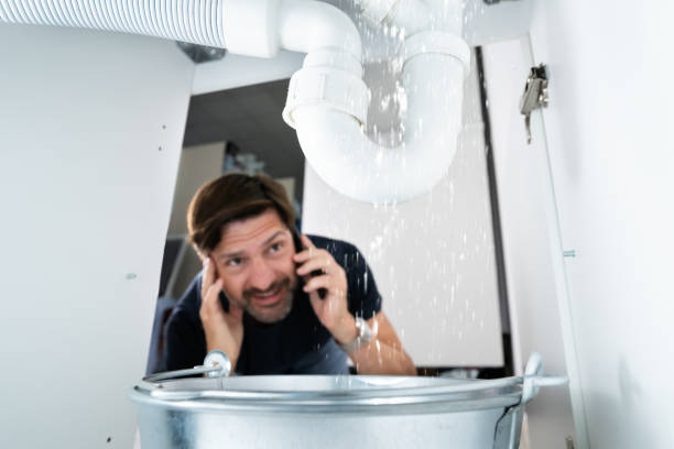 Best Plumbing Repair Near Me  in Meadowbrook, AL